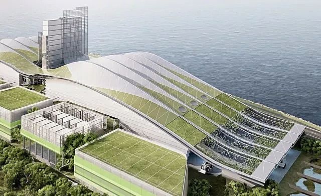 ��x�Ӿ۱�ϩ����CPAM�S����Ҋ����ˮ�p�ࡱ�r��