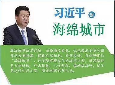 火山巖生物濾料生產廠家嘉興城東再生水廠尾水濕地凈化