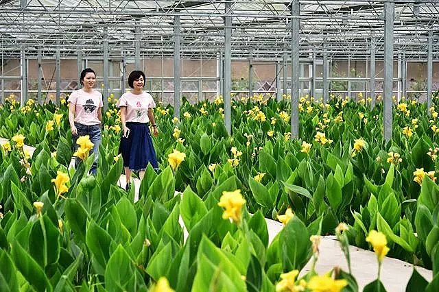 聚合氯化鋁PAC廠家—“綠色家族”為何與可持續(xù)發(fā)展?jié)u行漸遠(yuǎn)