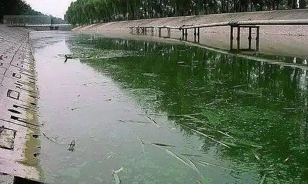 無煙煤濾料生產廠家城市黑臭水體整治