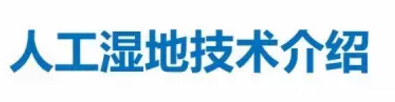 海綿鐵濾料廠家設(shè)計(jì)人工濕地全圖案例
