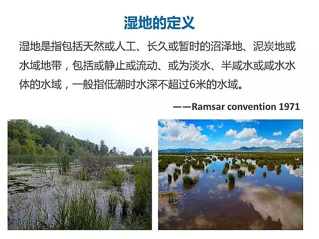 海綿鐵濾料廠家設(shè)計(jì)人工濕地全圖案例