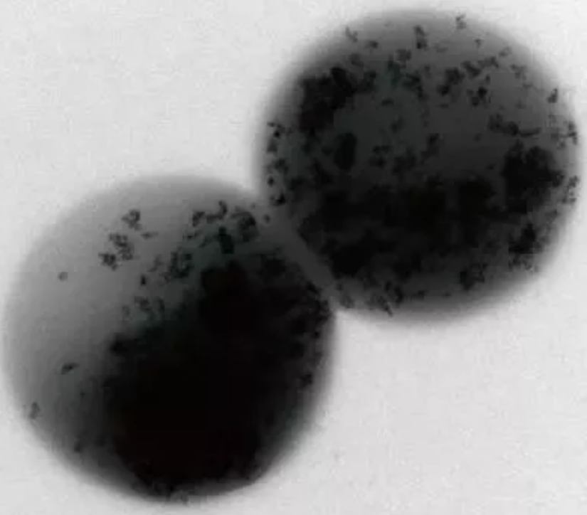 火山巖生物濾料生產廠家盤點2018年工業水處理領域的新科技