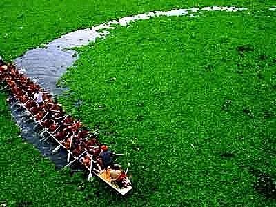 ���Қ��V�ϏS�Ҿ����w�Ї��h(hu��n)��40��