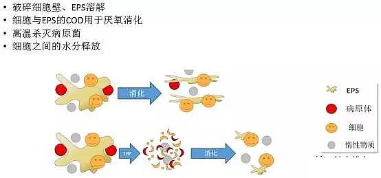 凈水劑聚合氯化鋁PAC廠家未來污水處理技術(shù)的發(fā)展方向及特征