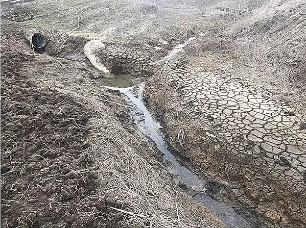 椰殼活性炭廠家嚴批63城將徹查長江入河排污口