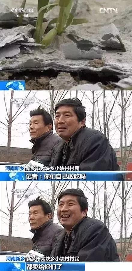 非離子聚丙烯酰胺NPAM生產廠家:廢水處理種的菜,還能吃嗎?