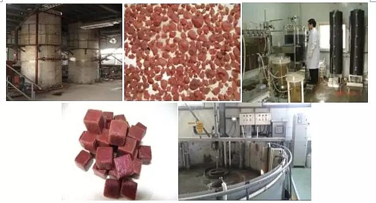 纖維球濾料廠家厭氧氨氧化在全球的發展