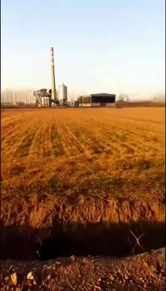 殺菌滅藻劑生產廠家河南一化工園區旁2300畝麥苗枯死追蹤草甘膦引起