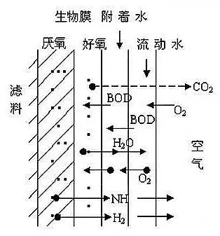 ˮ̎��ˎ���������c���a(ch��n)�S������֪��������Ĥ֪�R�����@