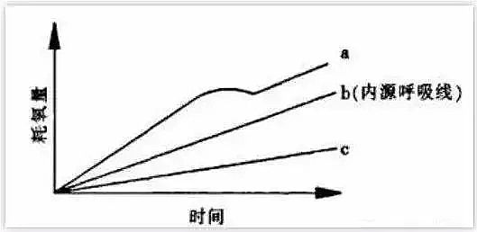 ϡ����ɰ�V�����a(ch��n)�S�ҏUˮ�Ŀ�����������ô����?�Д������������Щ����?