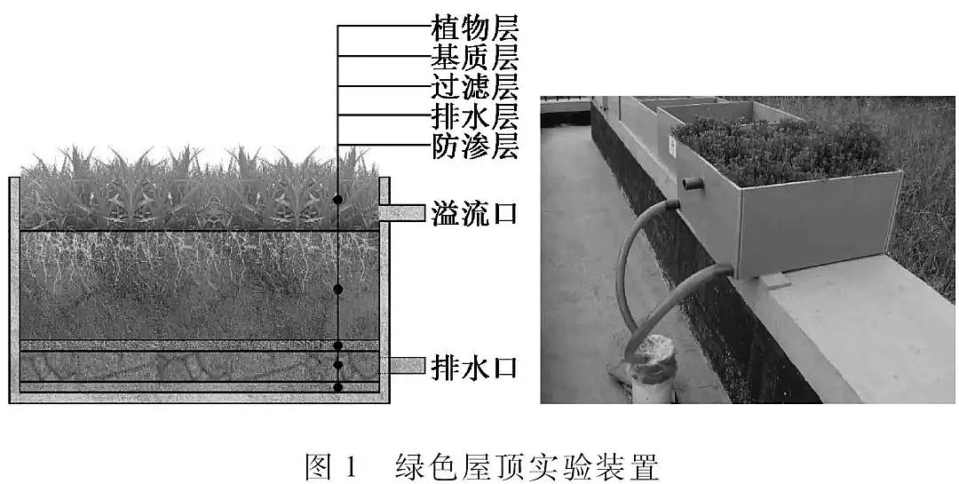 ���|�������̿���a�S�Ҍ��F����ˮ���Bȫ���������d���н��O