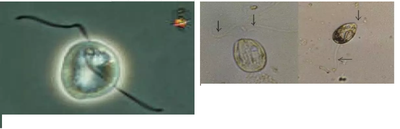 ���|�����V�ϏS����ˮ̎��ָʾ��΢�����ȫ!����������