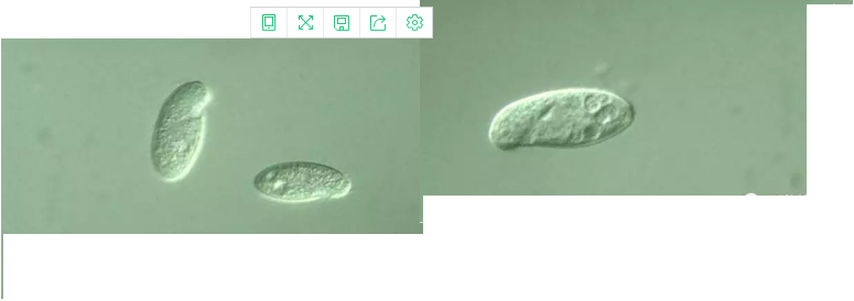 ���|�����V�ϏS����ˮ̎��ָʾ��΢�����ȫ!����������