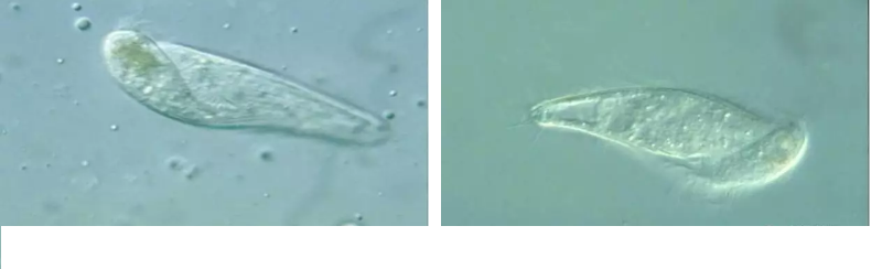 ���|�����V�ϏS����ˮ̎��ָʾ��΢�����ȫ!����������