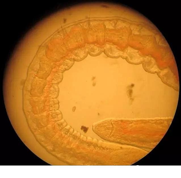 ���|�����V�ϏS����ˮ̎��ָʾ��΢�����ȫ!����������