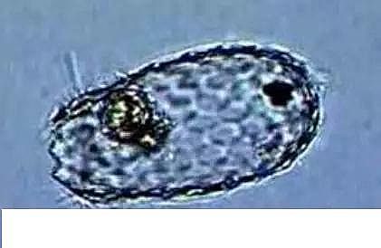 ���|�����V�ϏS����ˮ̎��ָʾ��΢�����ȫ!����������