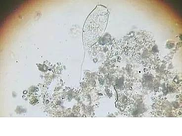 ���|�����V�ϏS����ˮ̎��ָʾ��΢�����ȫ!����������