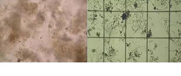 ���|�����V�ϏS����ˮ̎��ָʾ��΢�����ȫ!����������