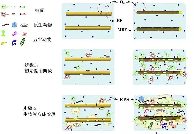 ��Դˮ̎���w�S��V�ϏS�Ҹ�������r�w�S���ϵ�ˮ̎�����g������