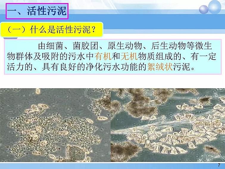 2020��������c���a(ch��n)�S��PPTԔ��������෨ԭ���c����