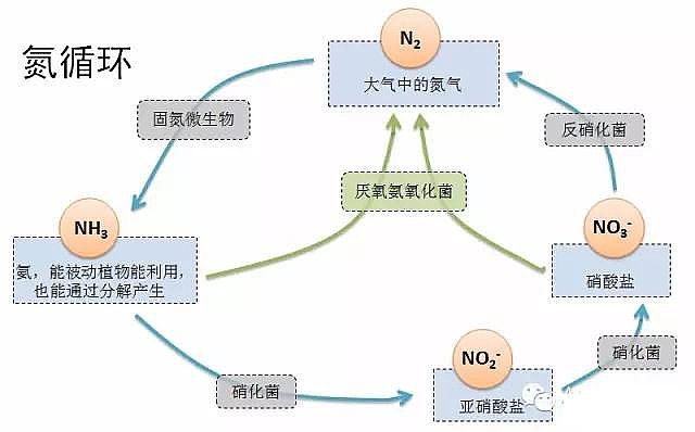 2020����x�Ӿ۱�ϩ�����S�҅�����������������ˮ��̎�팍�H����