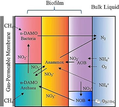 2020���ؚ������a�S��һ��ʽ��ȫÓ���¼��gPNAM���̳�����+����������+������������