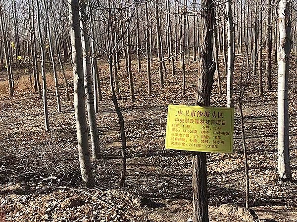 2019�����������V���a�S���v����ɳĮ��Ⱦ�{�飺��ұ���Iǰ������ˮ���