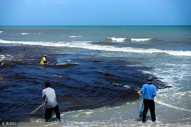 2020����ĭ�V��V��EPS�S�ұ��l!2020�� �����o����̎���Ј�Ҏģ������