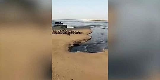 2020�����������V���a(ch��n)�S�ҟ��_�h(hu��n)����ͨ���뺣�ܵ����ۡ����ܵ�����ȫ���]����ȫ���