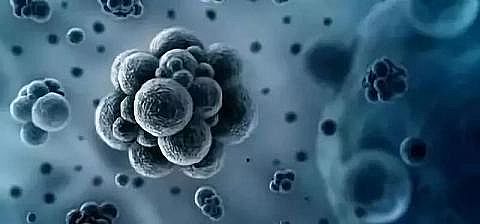 ˮ̎������̿���a�S���������̿�q֪�R�՚����������x��?�ƌWԭ��һ�f��Ͷ�!