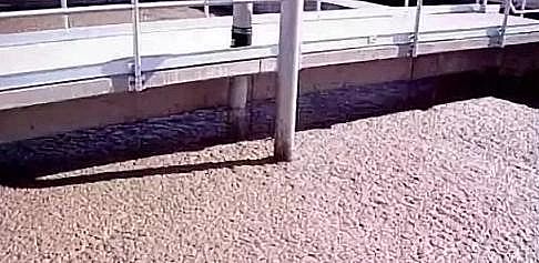 ˮ̎��ˎ�����a�S�Қ������儩�P��������Û���ϸ�����ĭ�����w�Ľ�Q�k�������@����!