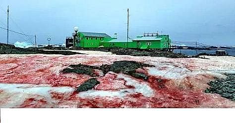 ˮ̎���������w�����������a�S������ˮ�ա���݋ˮ�c���׃��