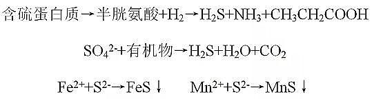 ��Դˮ̎��ˎ���Y(ji��)���Ȼ��X���a(ch��n)�S(ch��ng)�ҳ��кڳ�ˮ�w����Ⱦ�F(xi��n)������u(p��ng)�r(ji��)�������������g(sh��)�c��(du��)��