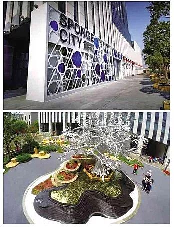 �����ɽ�r�V��2-4cm���a(ch��n)�S���Ϻ���ϵ�y(t��ng)��ȫ�����M(j��n)���d���н��O(sh��)�wϵ�c���g(sh��)�о�