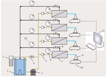 ��Ҏ���Z��ʯ�V�����a�S��׃���W�z�Mˮ���W�׺�������ĤԪ����ˮ���W�Ϳ���Ⱦ���ܵ�Ӱ�̽��