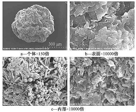 ��Ҏ��۠����̿���a�S�Һ����w������+Ĥ���ﷴ����̎������������ˮ�������γɡ���Ⱦ��ȥ��Ч��