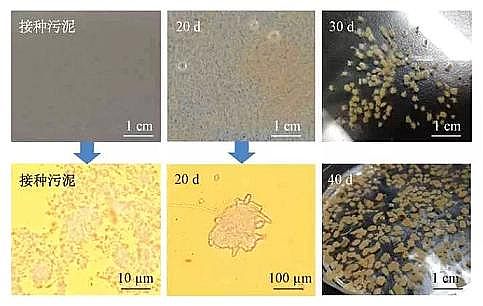 ��Ҏ��۠����̿���a�S�Һ����w������+Ĥ���ﷴ����̎������������ˮ�������γɡ���Ⱦ��ȥ��Ч��