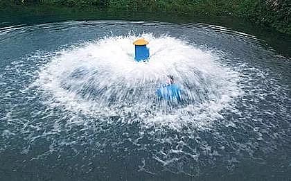 �h���ؚ����S�ҳ��кڳ���Ⱦ�ӵ�����ԓ��ô����?