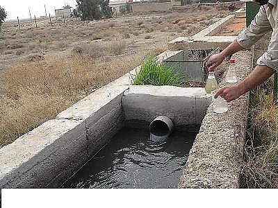 �h(hu��n)����������������MBBR���a�S����ˮ�Sᘌ��Mˮ���˵Ľ��x�ͼ��g�ʂ�