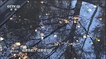 ���ͺ��Қ��V�ϏS��?gu��)���Ͷ��?0�|Ԫ��ˮ�|(zh��)������V�!������ˆ��}?