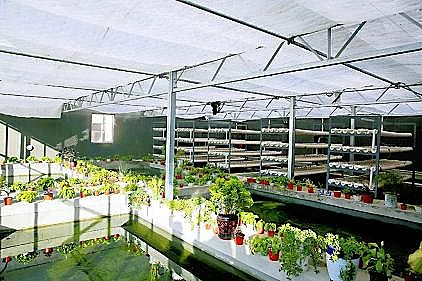 ��ʽ�Ҹ����������ϏS��С���ӵ���ˮ���l�]���ˡ���Ч��!