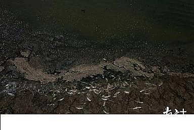 �¿�P��w�S�����^���a�S���|Ŀ�@�ģ�20�����r�������Bֳ��ˮֱ�Ŵ󺣣��y��׃�ڞ�!؟�����l?