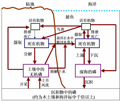 ��Ʒ�|��ʯ�V�����a�S����ˮ�YԴ���Ďׂ�����Ԕ�⣺�׻��ա���ˮ��Դ�á�����ˮ