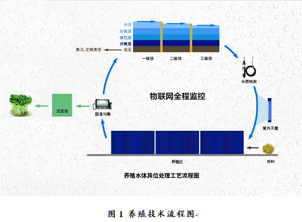 �������w�W���������a�S�ҡ����b��+���B���������s�Bֳ�cβˮ��Ч̎�����g