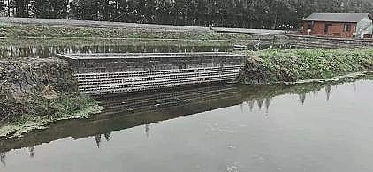 ��ʽ���w�������ϏS�����B(t��i)���B(y��ng)��βˮ�������A(y��)����������Ҧ̽��ˮ�a(ch��n)�B(y��ng)ֳ�Gɫ����֮·