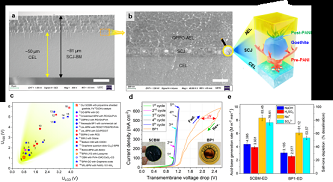 ���F�V�V��2-4mm���a(ch��n)�S���Ї�(gu��)�ƴ����p�OĤҎ(gu��)ģ���Ƃ�ȡ�����M(j��n)չ