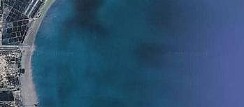 �h���۠����̿���a�S�ҽ����Bֳ�o�h����������Ⱦ