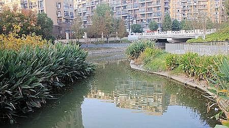 2021年固體脫色劑生產(chǎn)廠家2021年水處理市場3大板塊不容忽視!