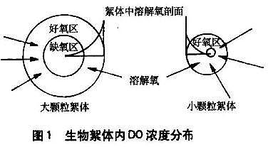 �h(hu��n)��ˮ̎��ˎ���ͺ�̼Դ�S����ˮ̎�����g֮�̳������������cͬ�������������ą^(q��)�e